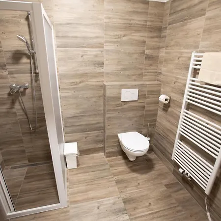 Apartment Za Dvorem
